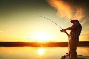 huile de poisson wd 40