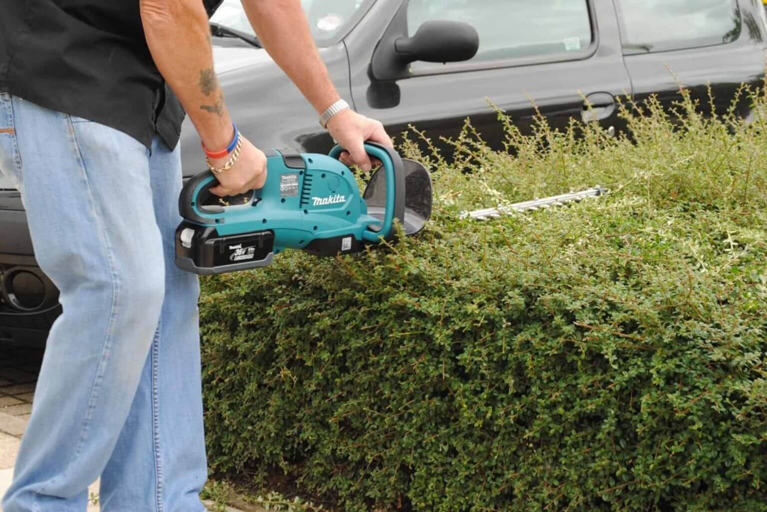 How to Clean Hedge Trimmers Properly and Safely WD40 Africa