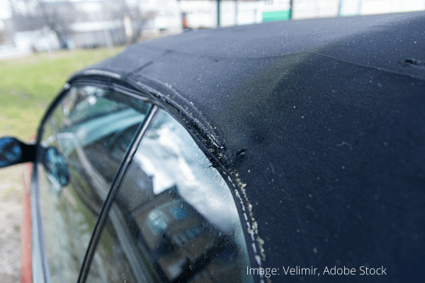 How to clean and protect car window rubber seals with silicone lubricant